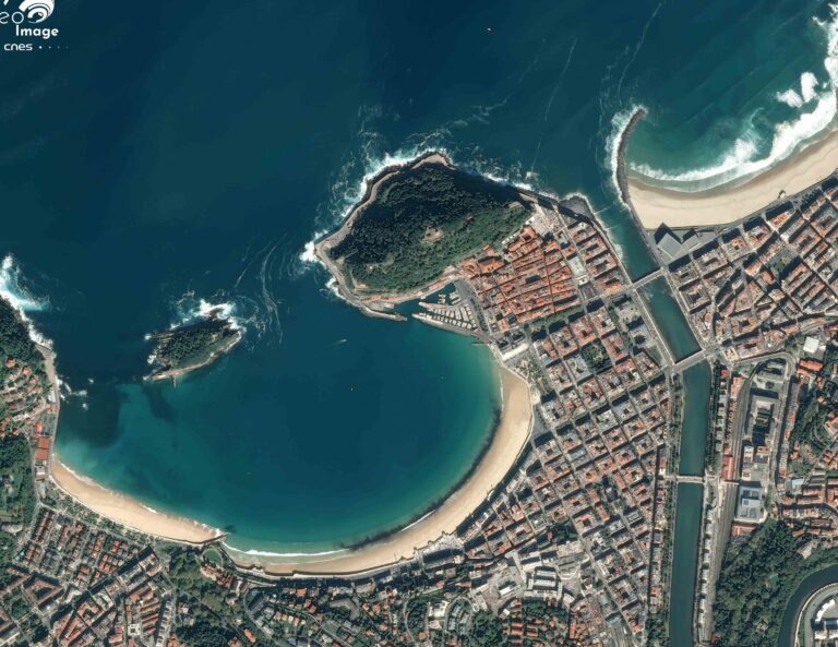 L’impact de la chasse à la baleine sur la rénovation du style marin dans l’habitat