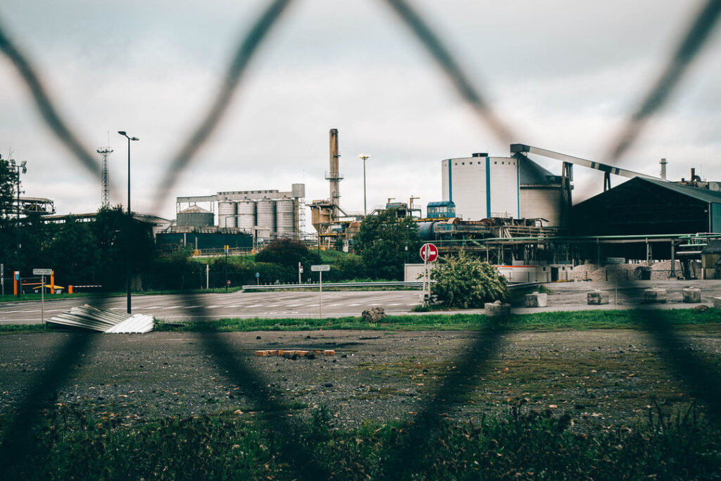 Comment les actions de TotalEnergies influencent le bricolage et l’amélioration de l’habitat ?