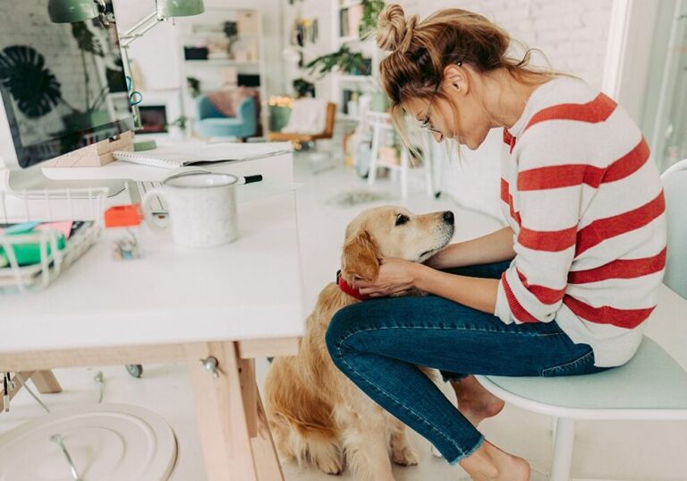 Comment rénover les bureaux d’une sous-préfecture avec des astuces de bricolage maison ?