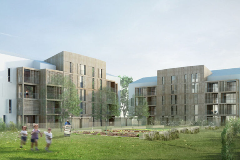 Comment utiliser les produits BASF pour vos projets de rénovation maison ?