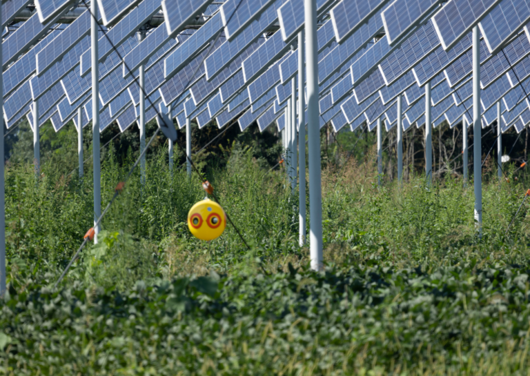 agrivoltaïsme
