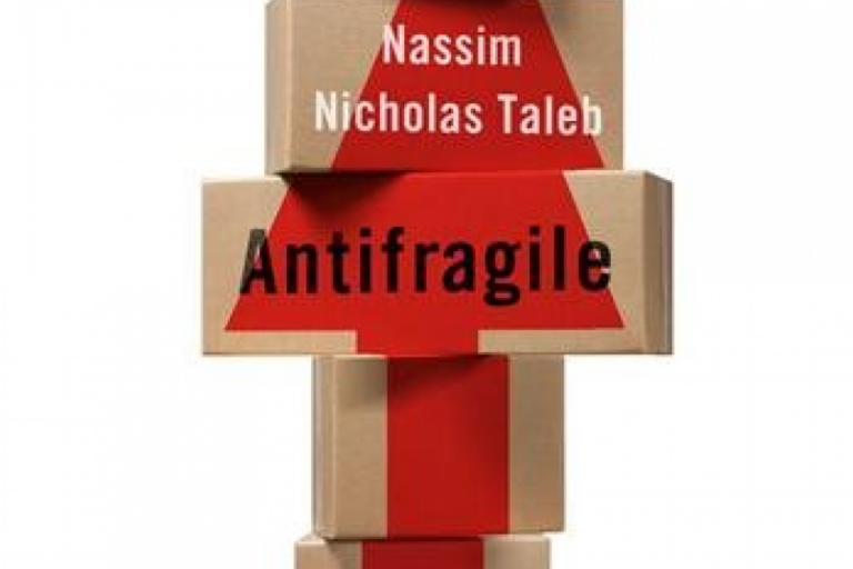 Comment la philosophie de Nassim Taleb peut-elle inspirer vos projets de bricolage maison ?