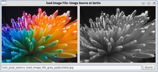 PyQt Lab&rsquo; : PyQt + OpenCV + pyqtcv : Convertir une image RGB en niveau de gris à partir d&rsquo;un fichier sélectionné.