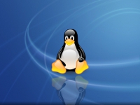 http://web.archive.org/web/20210804223007/https://www.mon-club-elec.fr/pmwiki_mon_club_elec/pmwiki.php?n=MAIN.LinuxUbuntuFondsEcrans